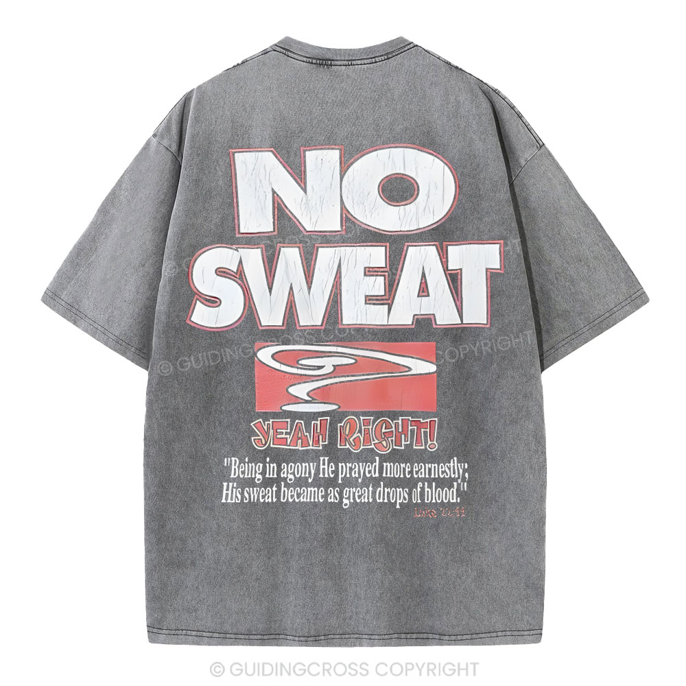 Lord's Gym Christian Washed T-Shirt