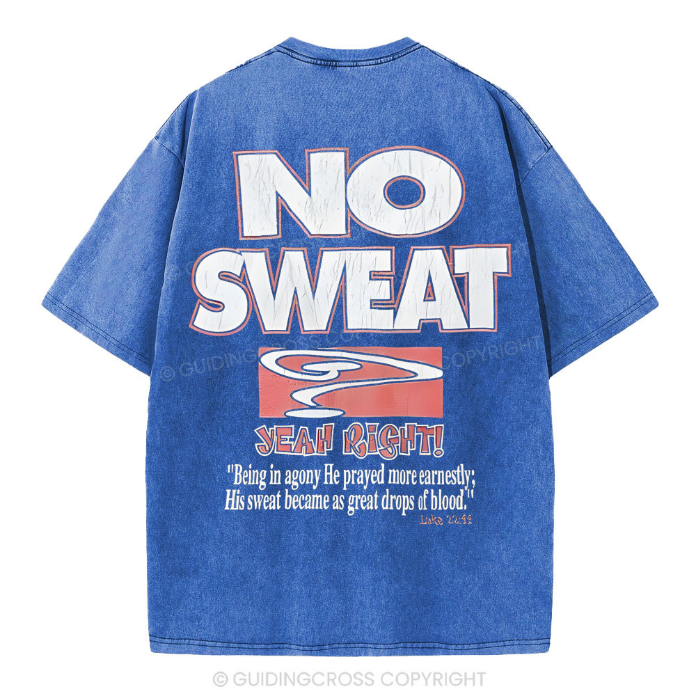 Lord's Gym Christian Washed T-Shirt