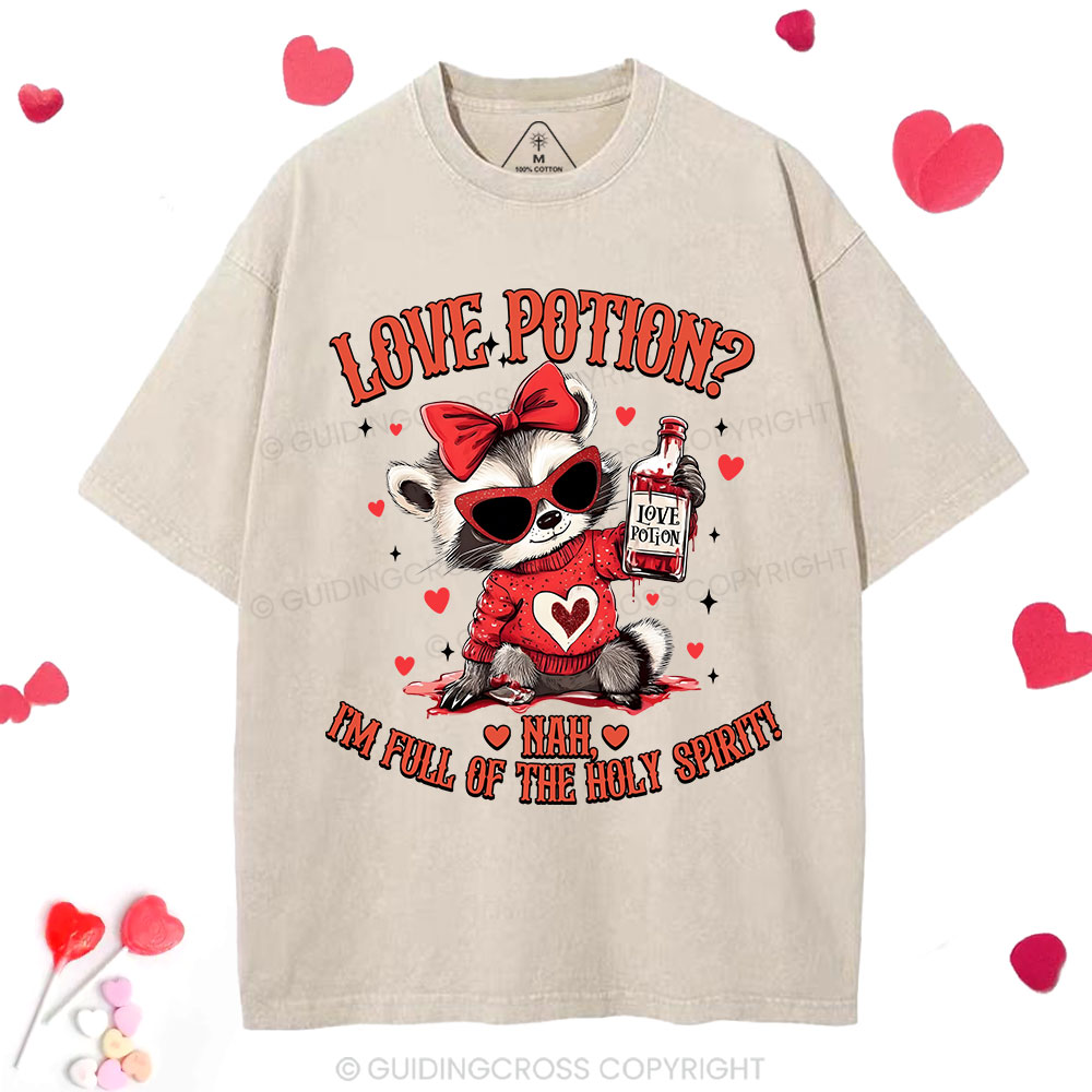 Love Potion Nah I'm Full Of The Holy Spirit Christian Washed T-Shirt