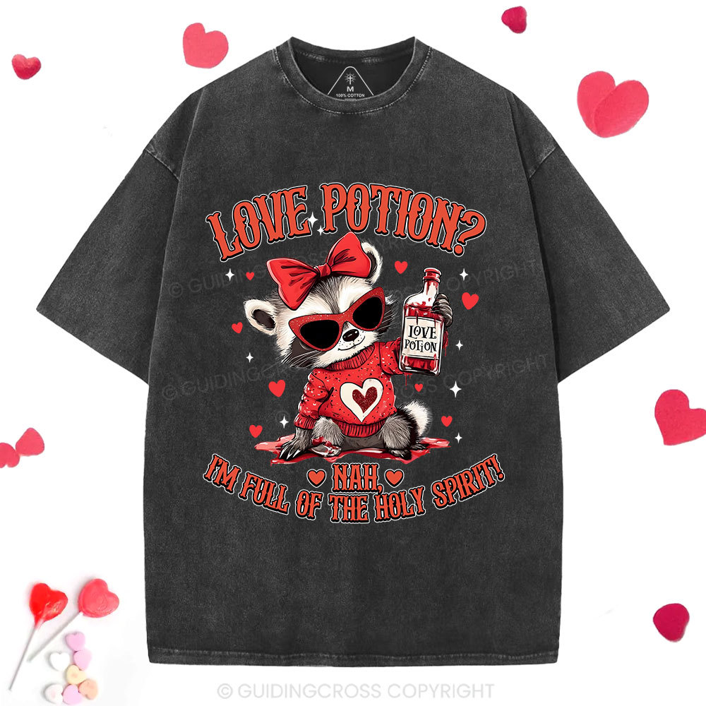 Love Potion Nah I'm Full Of The Holy Spirit Christian Washed T-Shirt