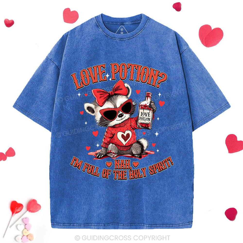 Love Potion Nah I'm Full Of The Holy Spirit Christian Washed T-Shirt