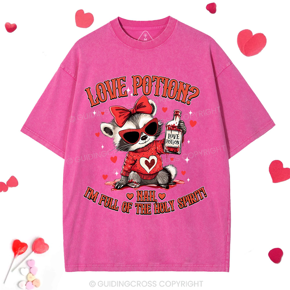 Love Potion Nah I'm Full Of The Holy Spirit Christian Washed T-Shirt