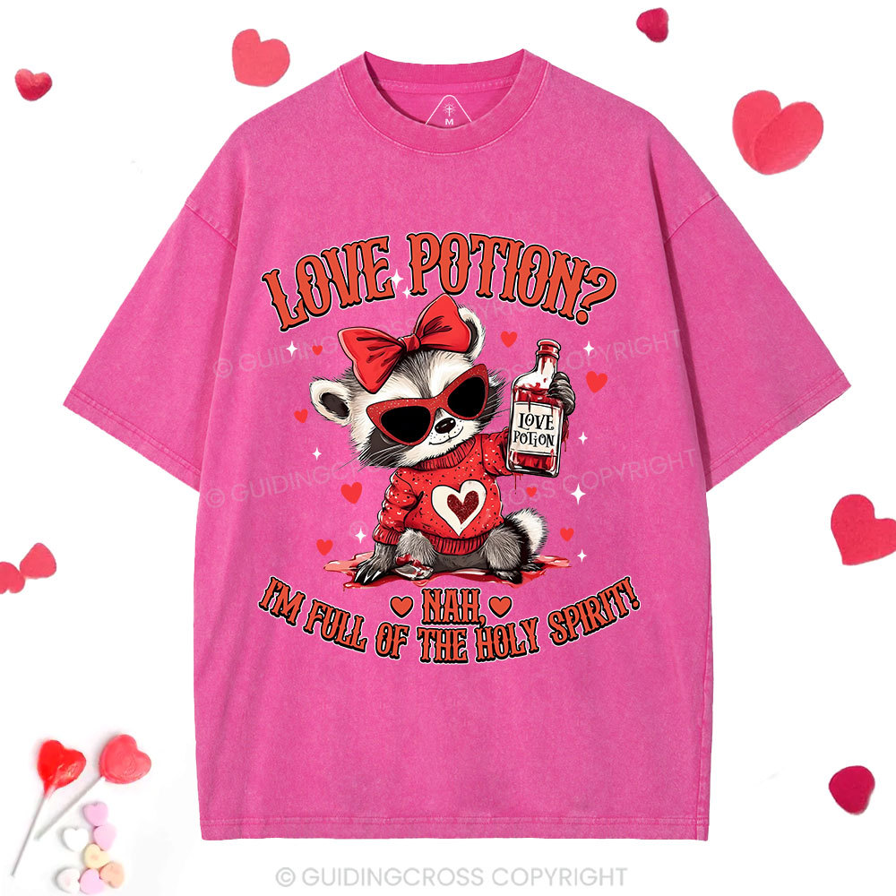 Love Potion Nah I'm Full Of The Holy Spirit Christian Washed T-Shirt