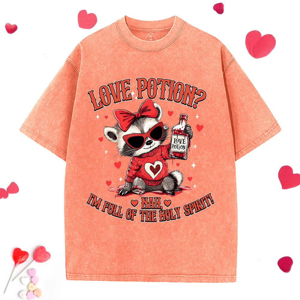 Love Potion Nah I'm Full Of The Holy Spirit Christian Washed T-Shirt