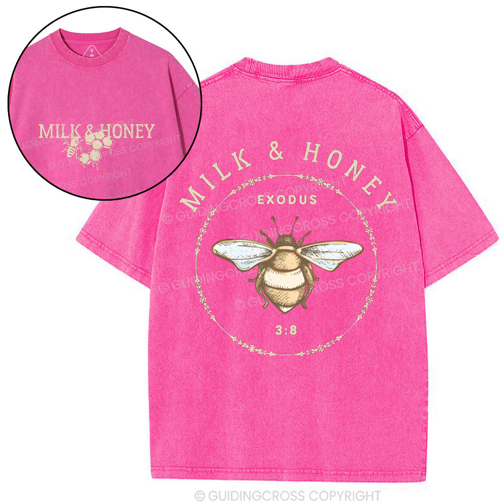 Milk And Honey Christian Washed T-Shirt