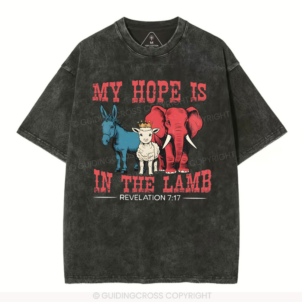 sample washed T-Shirt Sale - GuidingCross