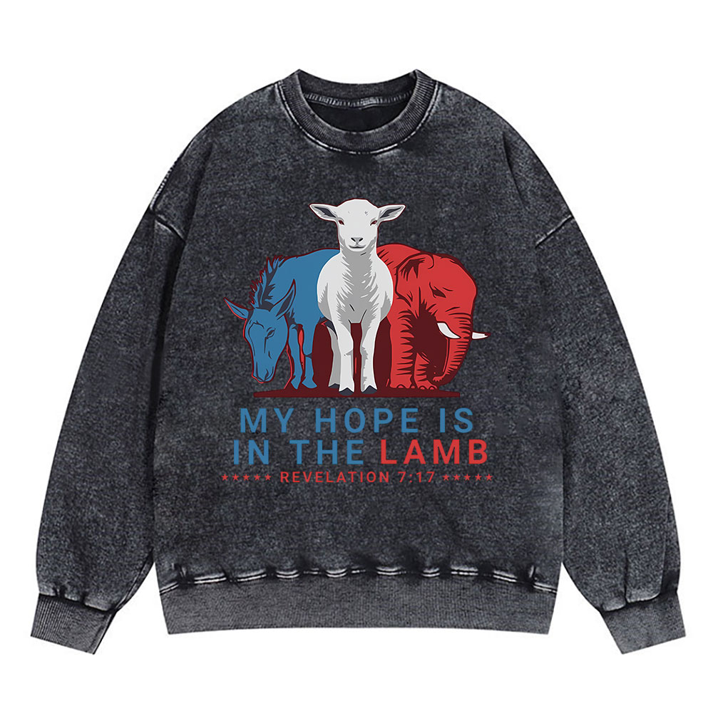 My Hope Is In The Lamb Christian Washed Sweaatshirt