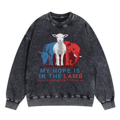 My Hope Is In The Lamb Christian Washed Sweaatshirt