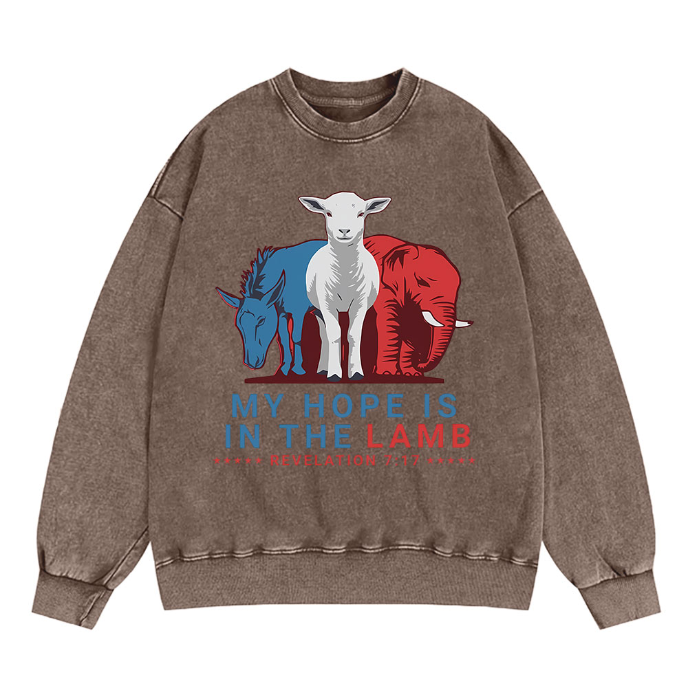 Sample Washed Sweatshirt  水洗圆领卫衣 Sale - GuidingCross