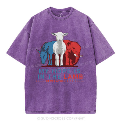 My Hope Is In The Lamb Christian Washed T-Shirt