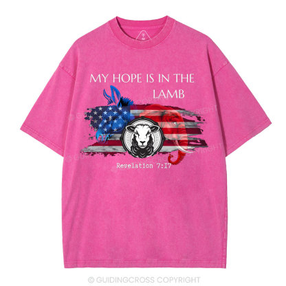 My Hope Is In The Lamb  Christian Washed T-Shirt