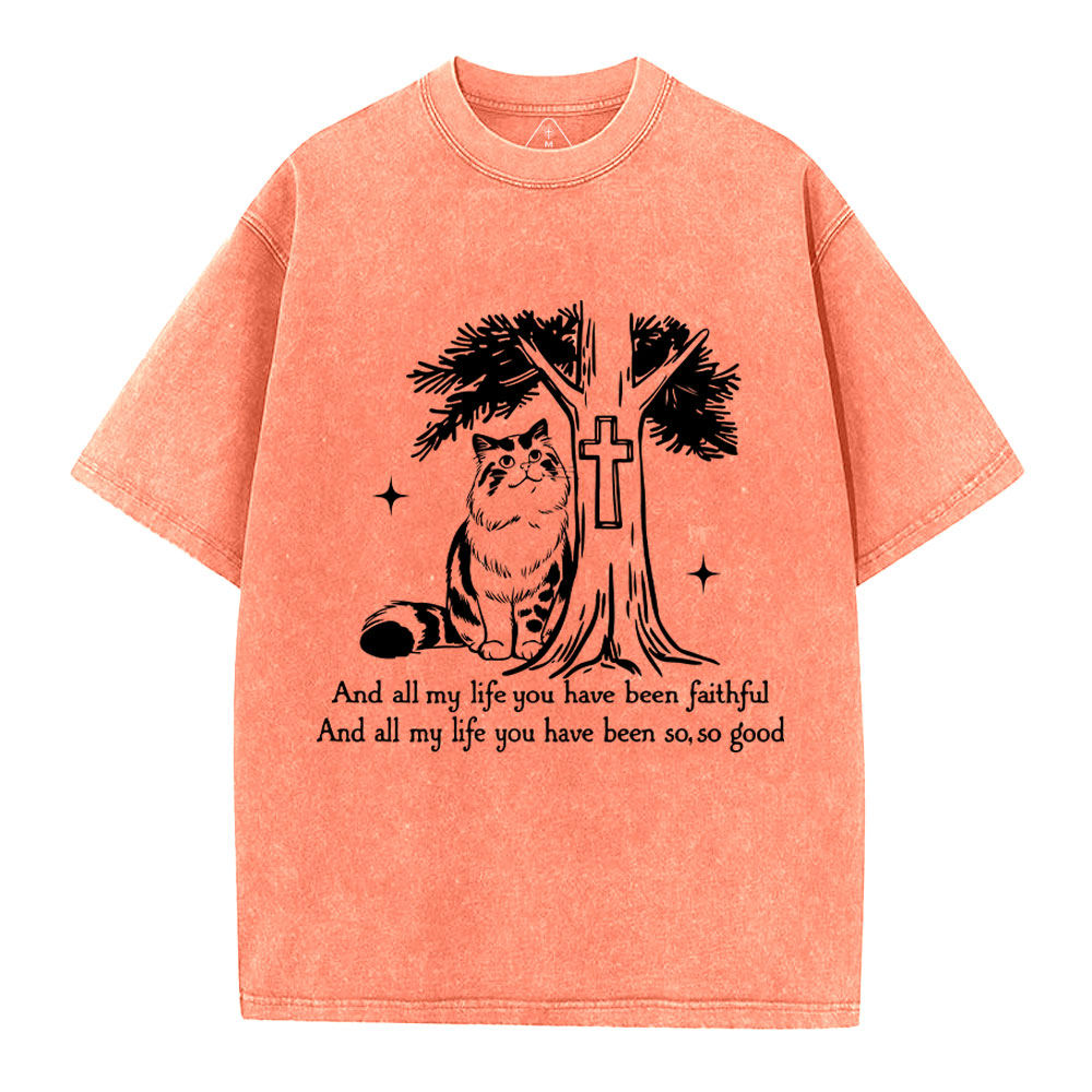 My Life Have Been Faintful  Christian Washed T-Shirt