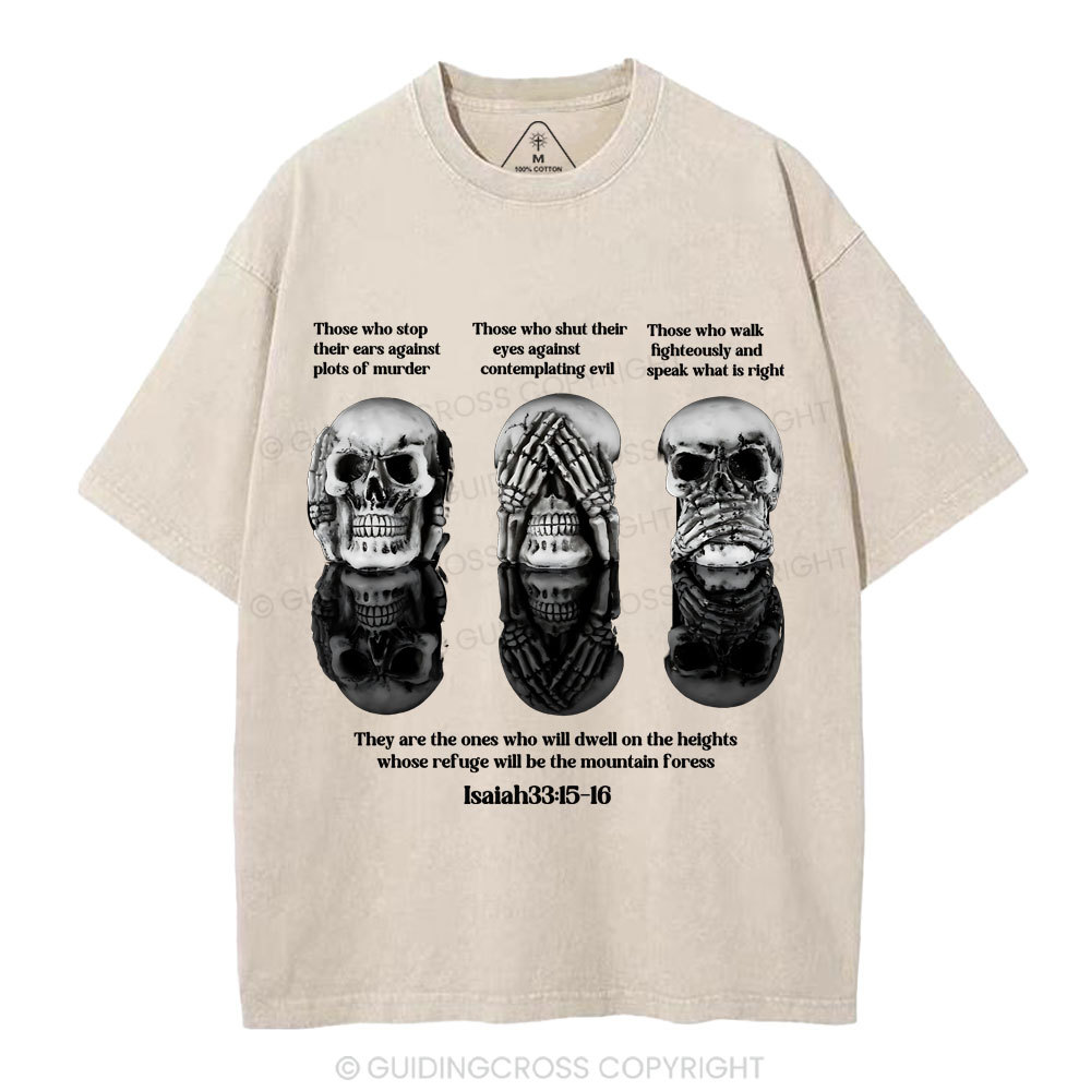 No Evil See No Evil Speak No Evil  Chrisian Washed T-Shirt