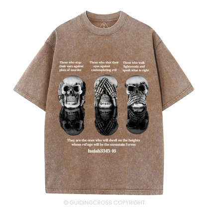 No Evil See No Evil Speak No Evil  Chrisian Washed T-Shirt