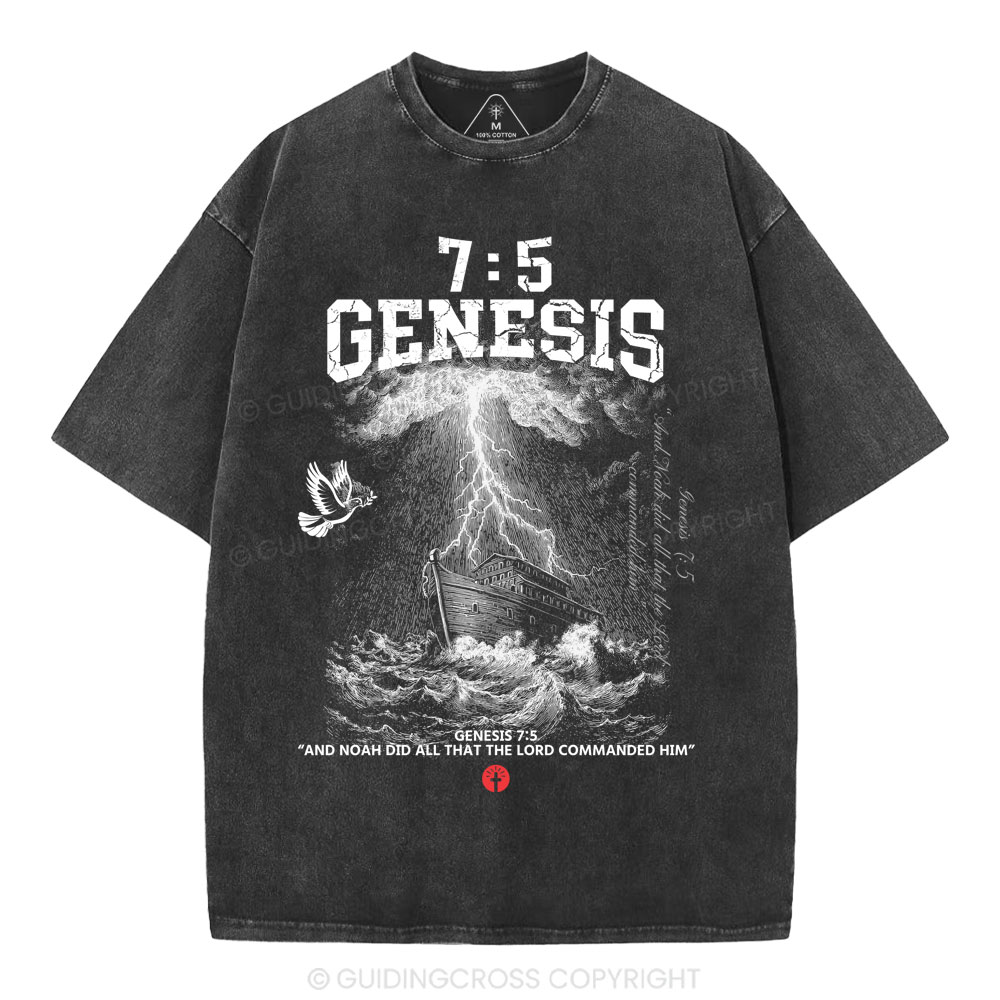 Noah's Ark Christian Washed T-Shirt
