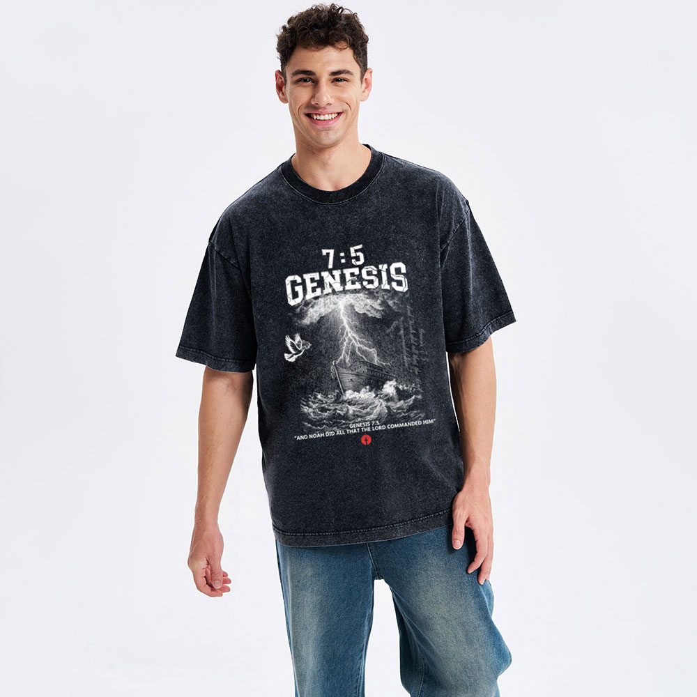 Noah's Ark Christian Washed T-Shirt