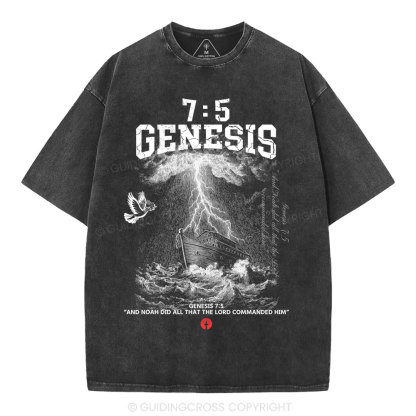 Noah's Ark Christian Washed T-Shirt