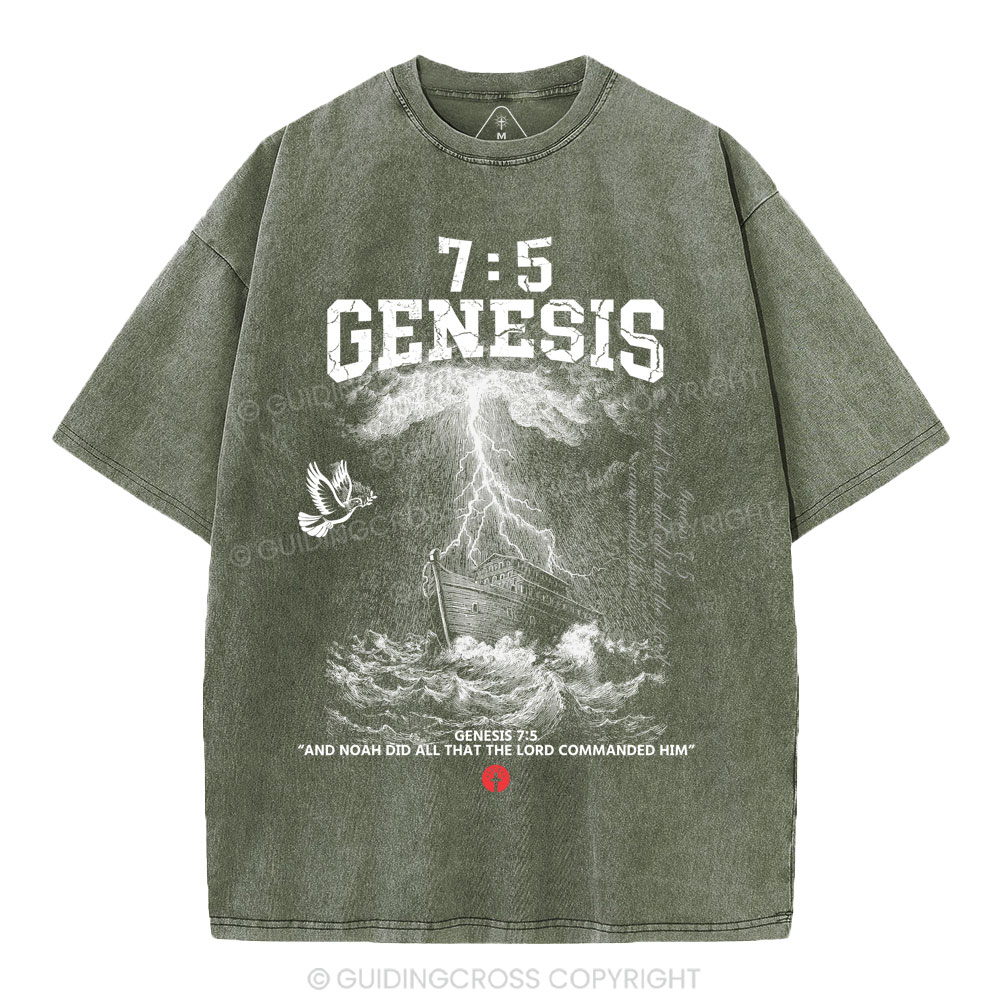 Noah's Ark Christian Washed T-Shirt