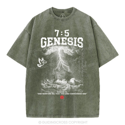 Noah's Ark Christian Washed T-Shirt