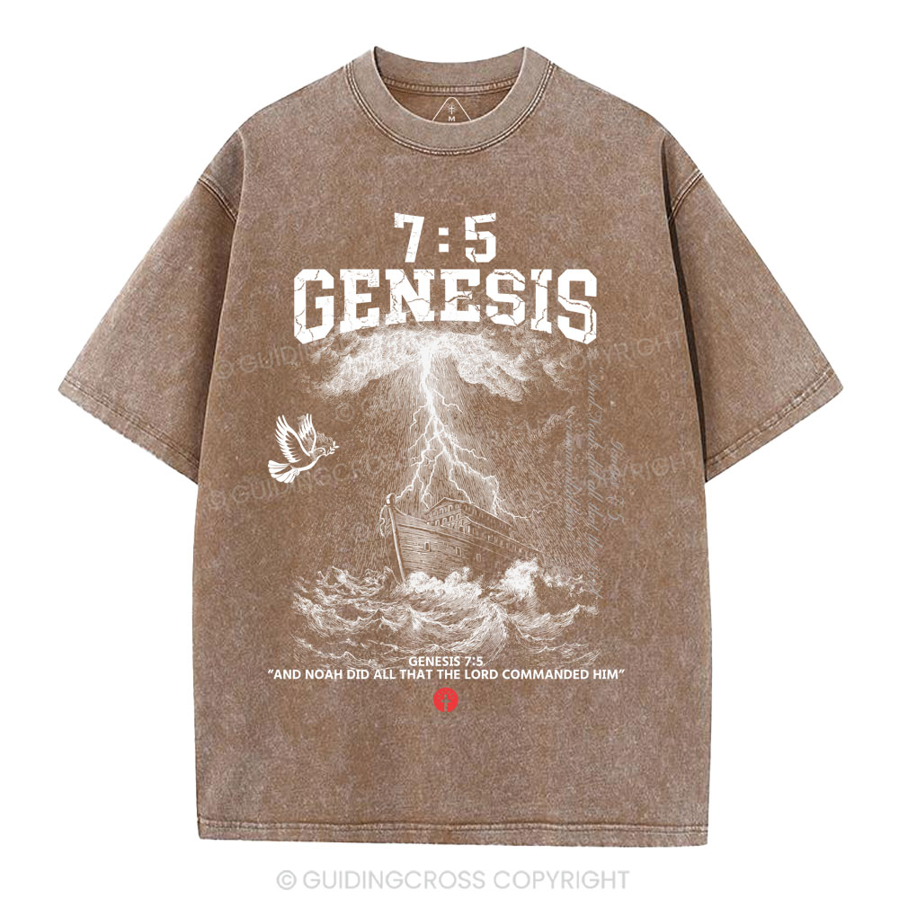 Noah's Ark Christian Washed T-Shirt