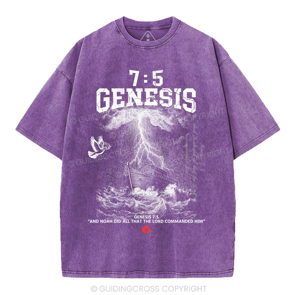 Noah's Ark Christian Washed T-Shirt