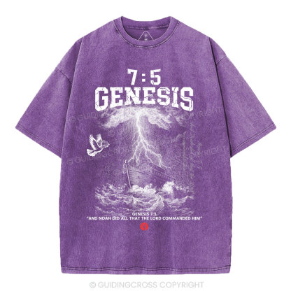 Noah's Ark Christian Washed T-Shirt