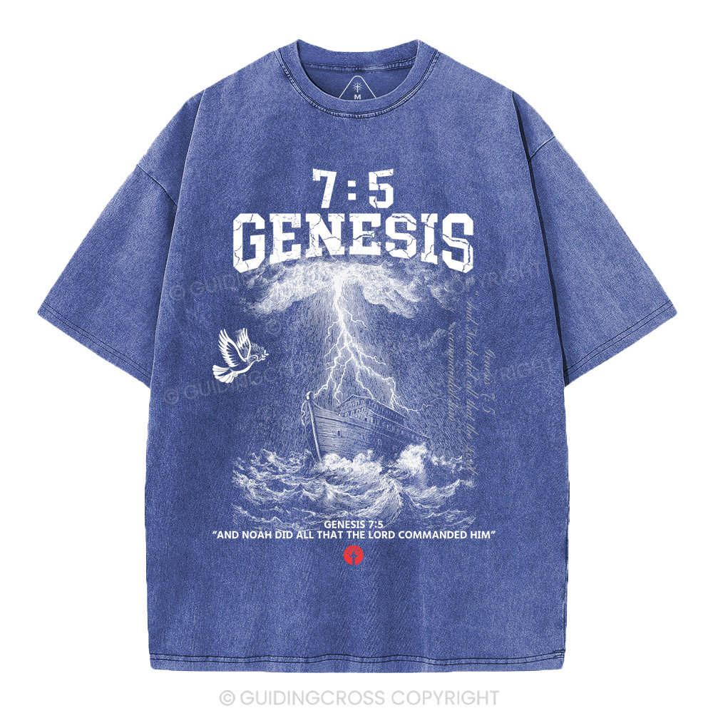 Noah's Ark Christian Washed T-Shirt