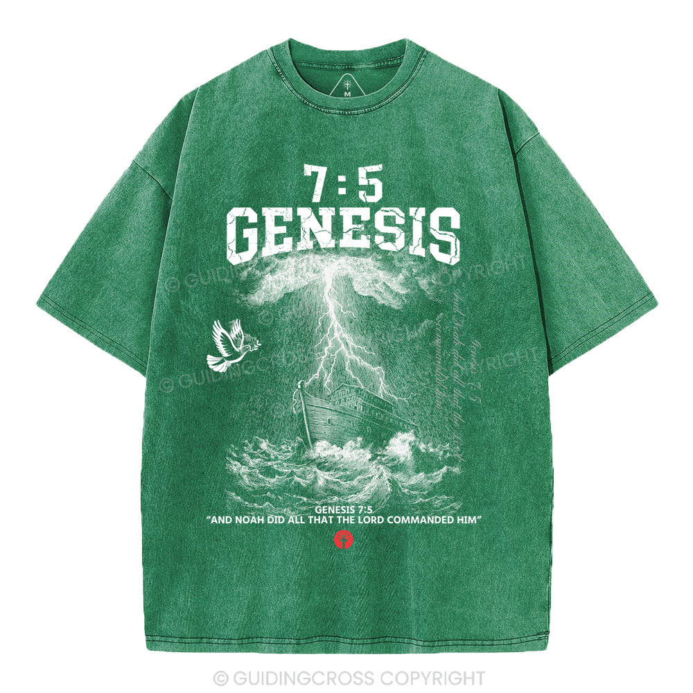Noah's Ark Christian Washed T-Shirt