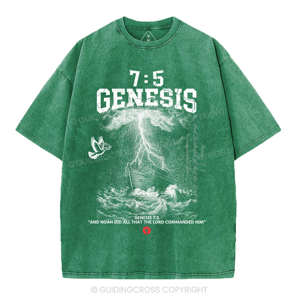 Noah's Ark Christian Washed T-Shirt