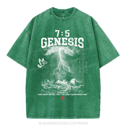 Noah's Ark Christian Washed T-Shirt