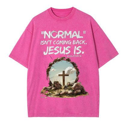 Normal Isn't Coming Back Christian Washed T-Shirt