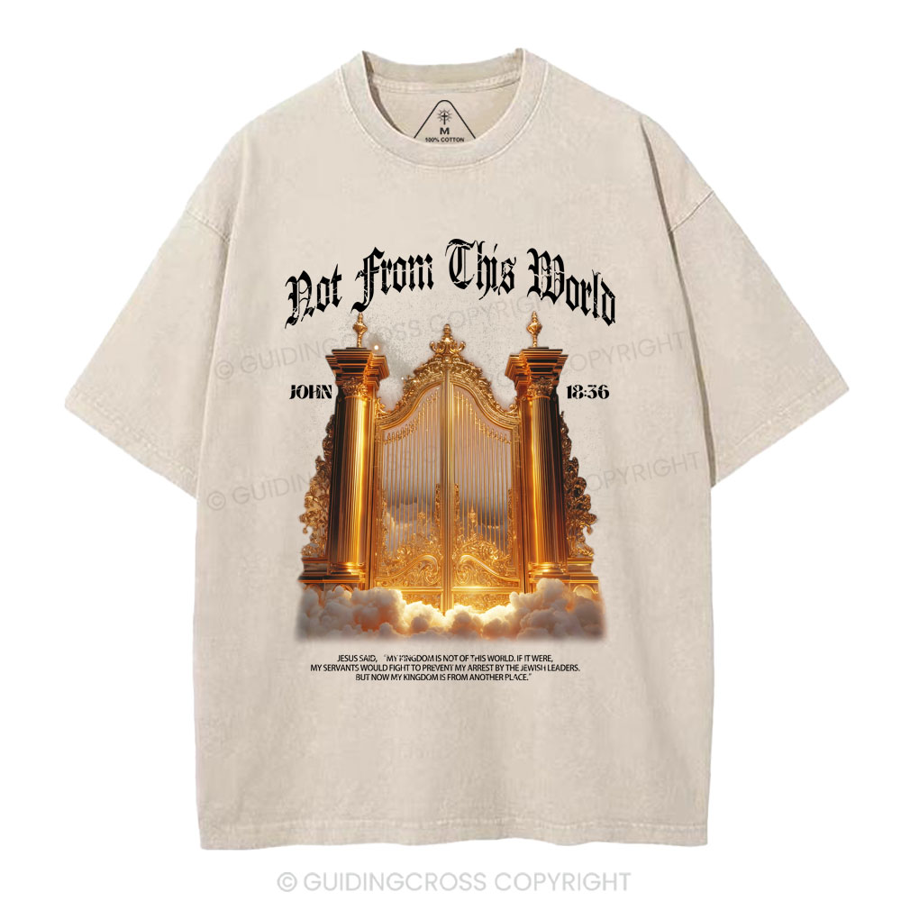 Not From This World Christian Washed T-Shirt