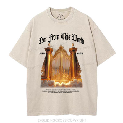 Not From This World Christian Washed T-Shirt