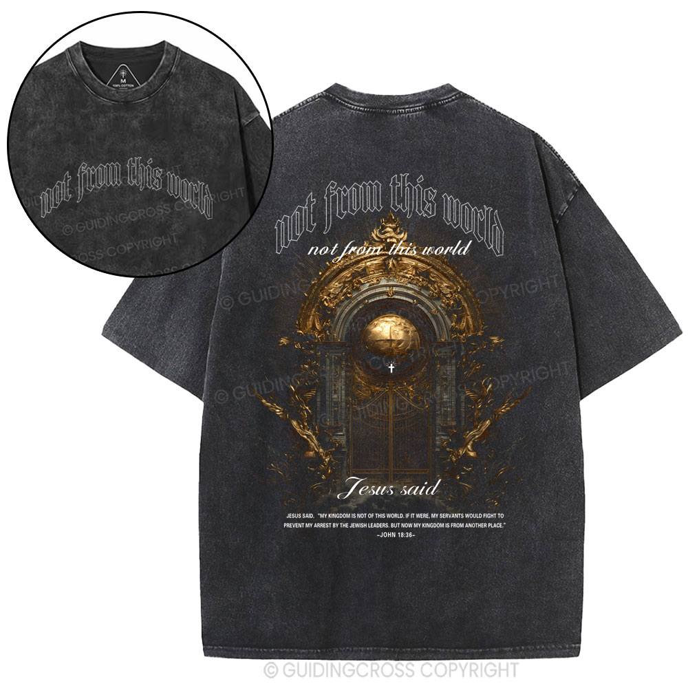 Not From This World Christian Washed T-Shirt