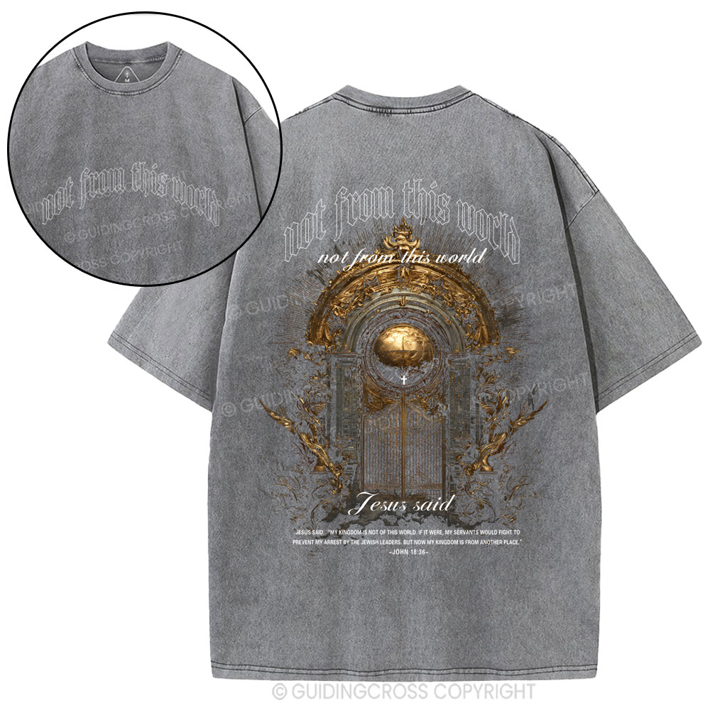 Not From This World Christian Washed T-Shirt