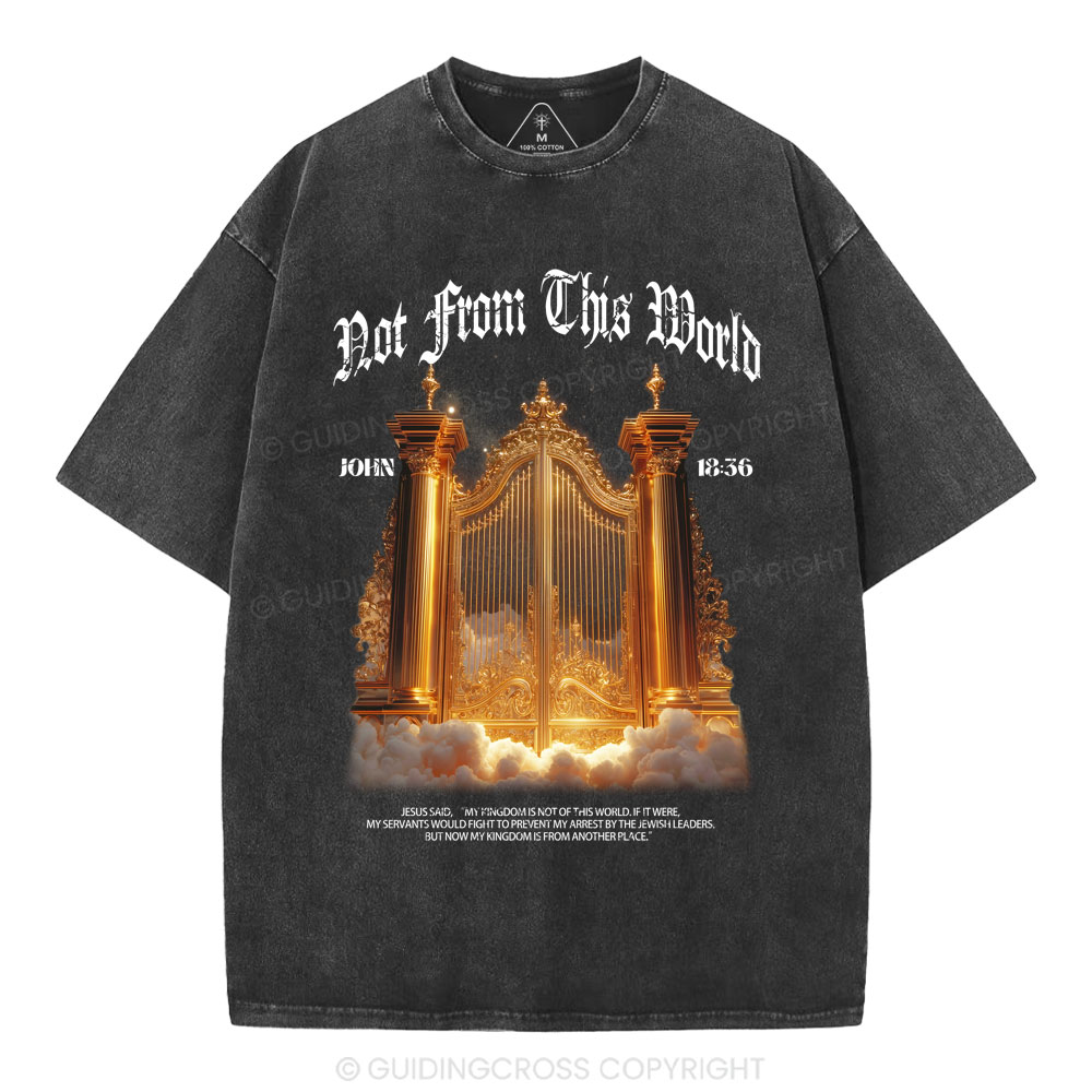 Not From This World Christian Washed T-Shirt