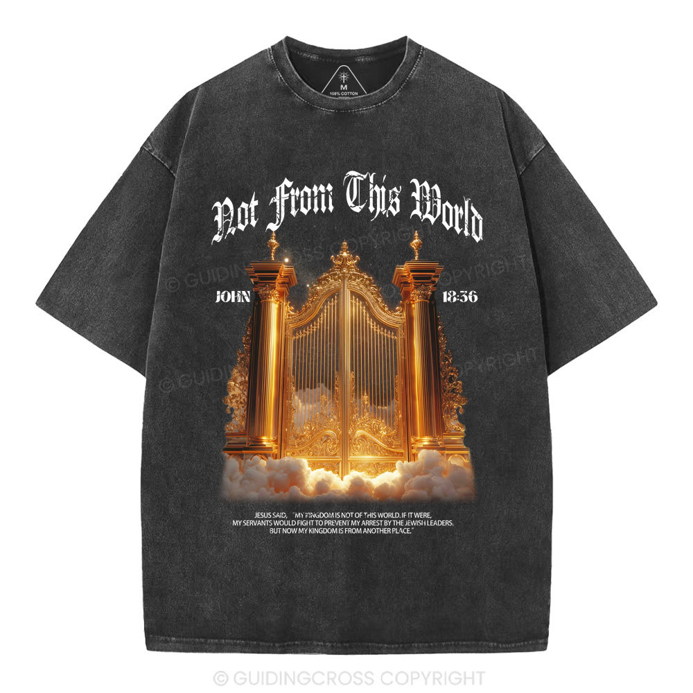 Not From This World Christian Washed T-Shirt