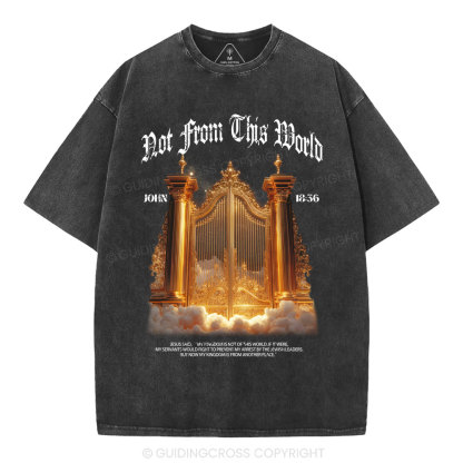 Not From This World Christian Washed T-Shirt