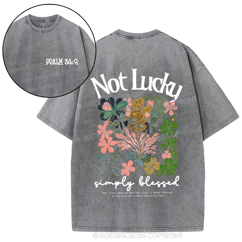 Not Lucky Chrsitian Washed T-Shirt