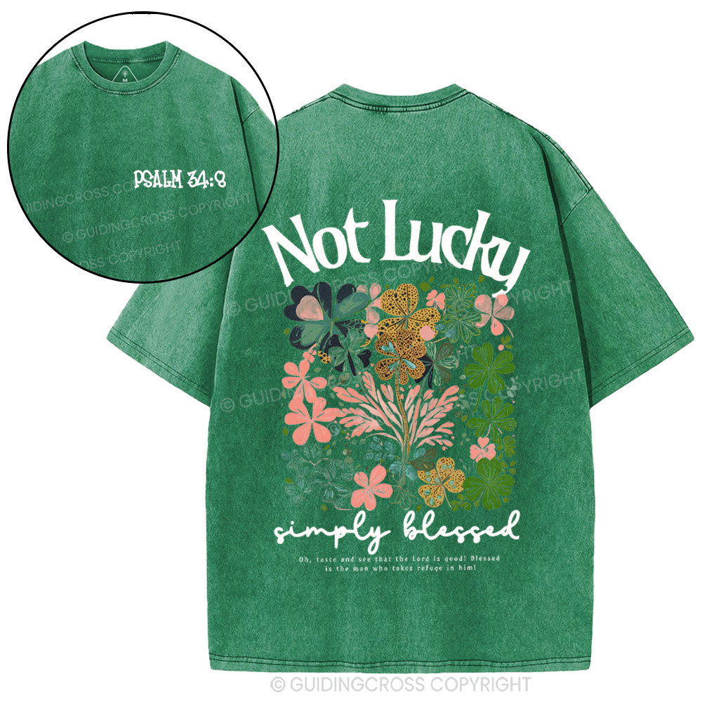 Not Lucky Chrsitian Washed T-Shirt