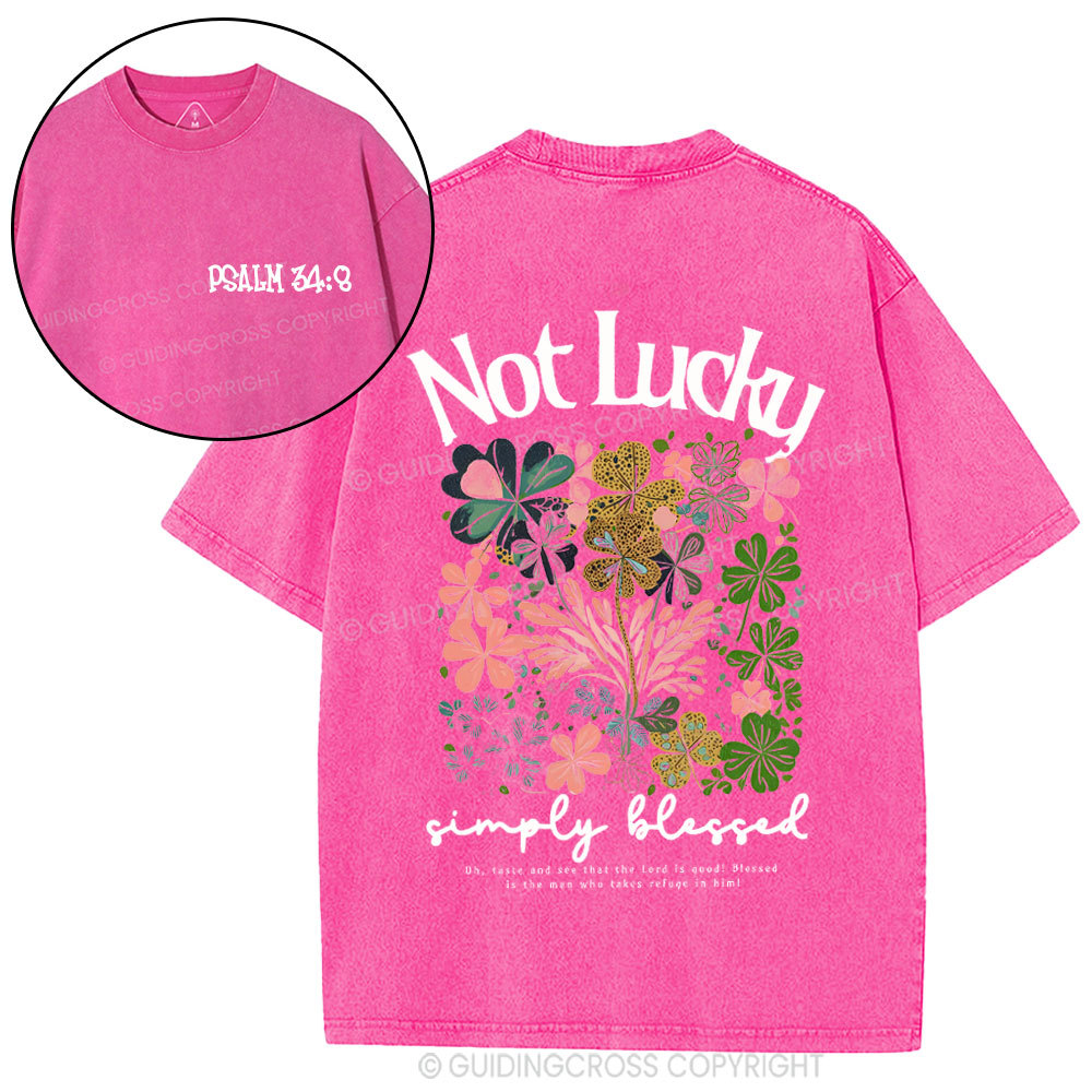 Not Lucky Chrsitian Washed T-Shirt