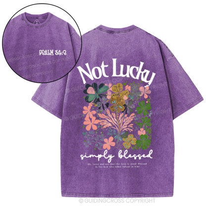 Not Lucky Chrsitian Washed T-Shirt
