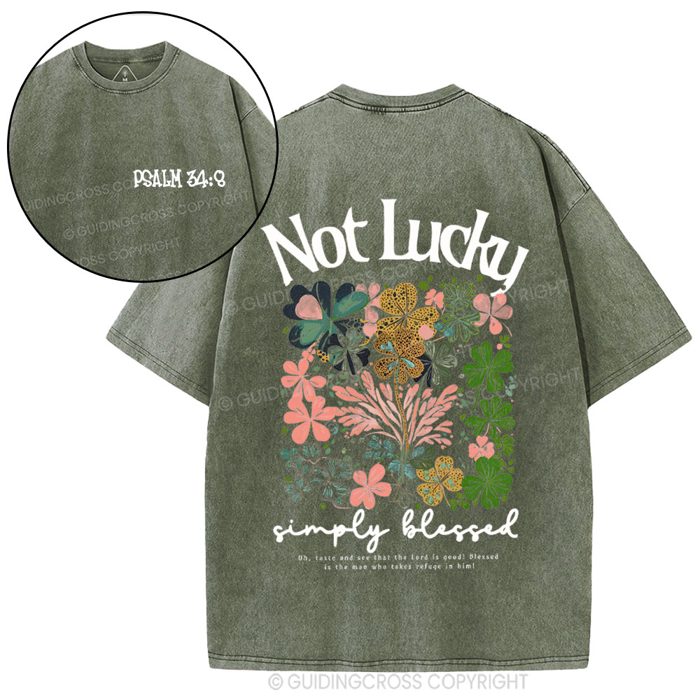Not Lucky Chrsitian Washed T-Shirt