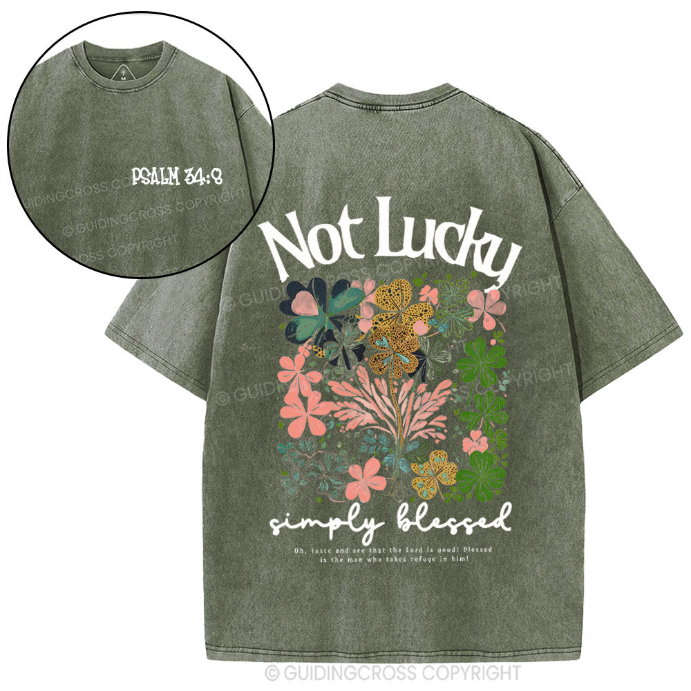 Not Lucky Chrsitian Washed T-Shirt