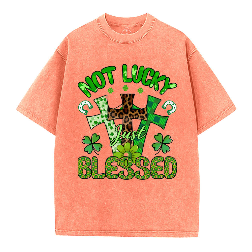 Not Lucky Just Bleessed Christian Washed T-Shirt