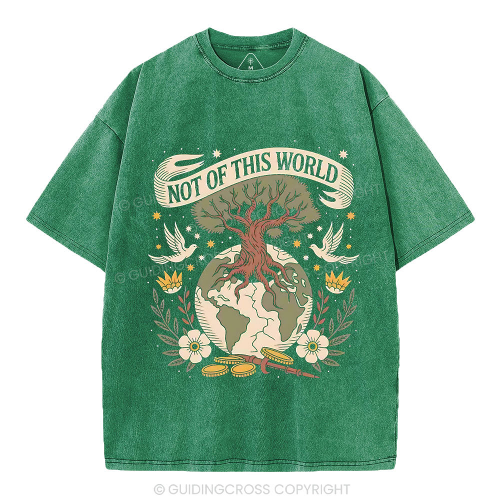 Not Of This World Christian Washed T-Shirt