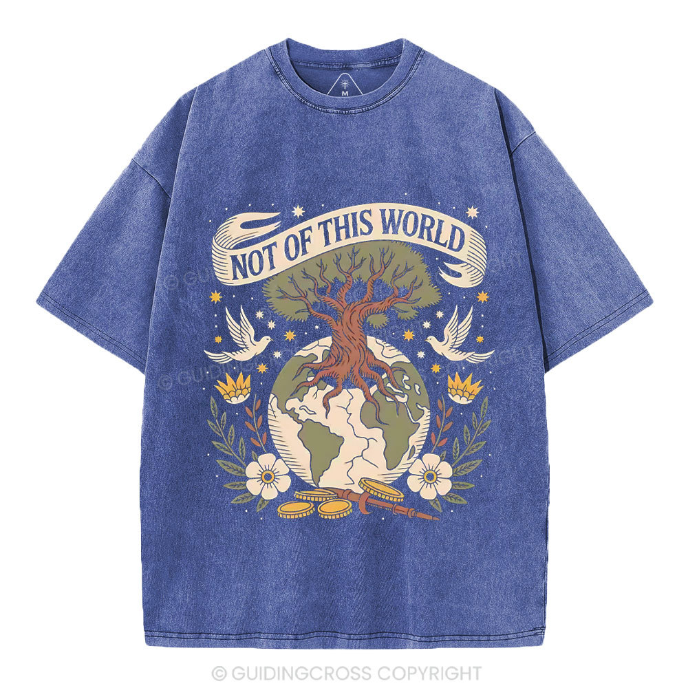 Not Of This World Christian Washed T-Shirt