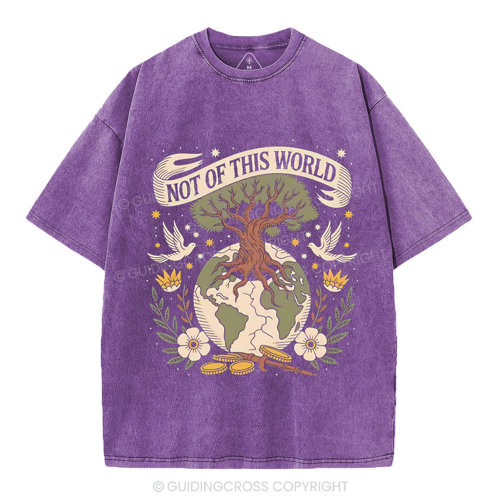 Not Of This World Christian Washed T-Shirt