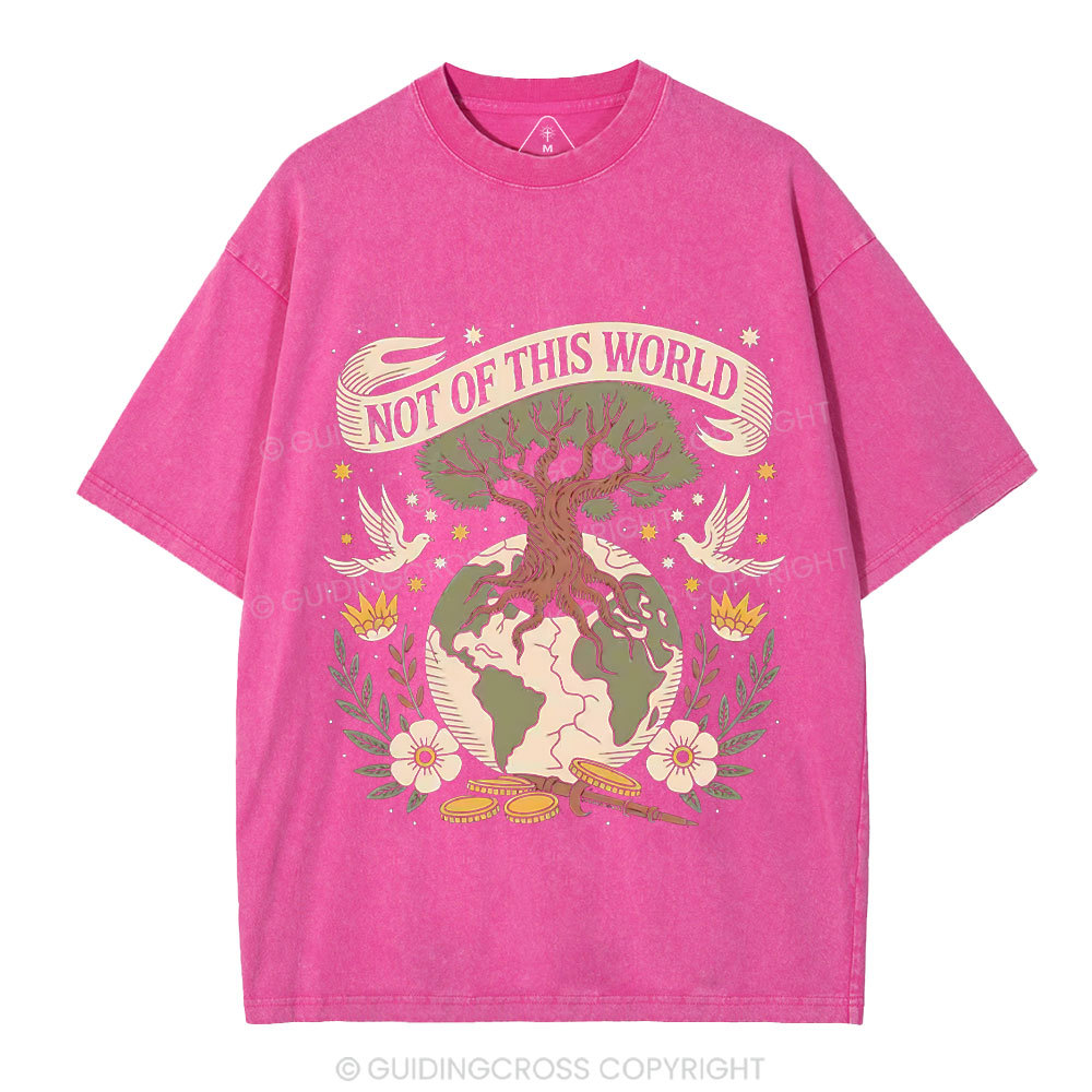 Not Of This World Christian Washed T-Shirt