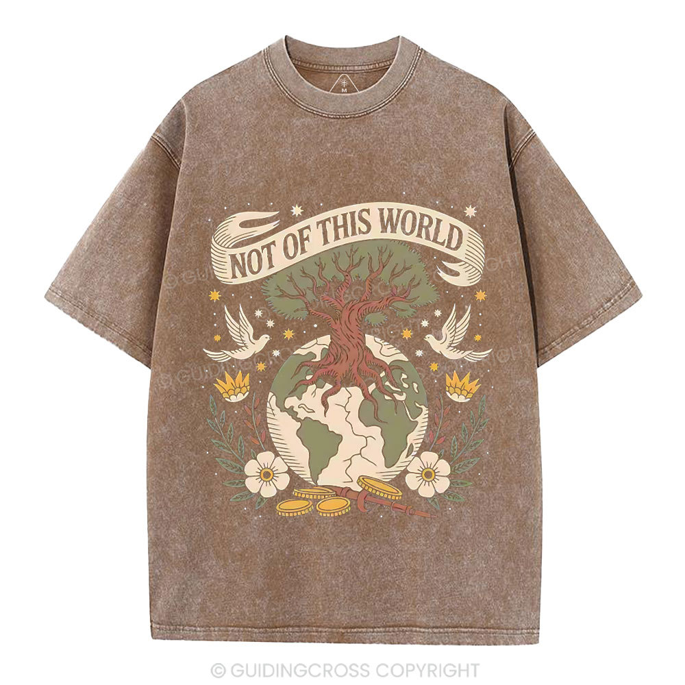 Not Of This World Christian Washed T-Shirt